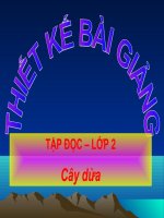 Tap doc Cay dua tuan 28
