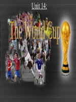 Unit 14 World Cup