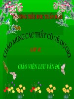 chinh ta (noi nguoc tuan 34 lop 4)