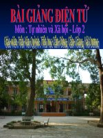 TNXH TUAN 29- Mot so loai vat song duoi nuoc