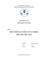 Tiểu luận môn Kinh tế lượng PHÂN TÍCH CÁC NHÂN TỐ TÁC ĐỘNG ĐẾN GDP VIỆT NAM