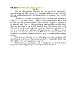 Văn tả cây cối(học sinh viết)