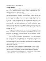 Tiểu luận môn Quản trị học Môi trường kinh doanh