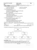 KIỂM TRA 1 TIẾT LỊCH SỬ 6-KÌ 2