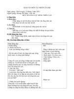 bai: Một số loài vật sống trên cạn