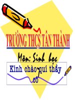 Bài tập sinh 7 (HKII)