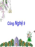Lắp đặt dây dãn của mạng điện trong nhà