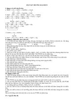 hoa hay nhat viet nam( no chut thoi)