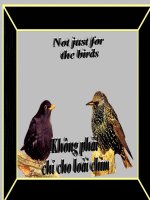 Trò chuyện của chim