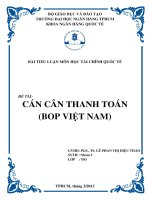 Tiểu luận môn tài chính quốc tế CÁN CÂN THANH TOÁN BOP VIỆT NAM