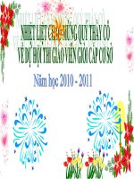 Bài dự thi GVDG năm 2010 -2011