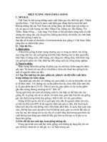 Tiểu luận hiện tượng thoái hóa giống