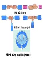 nối dây dẫn điện