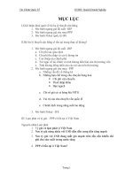 tiểu luận: Lạm phát và tỷ giá – PPP có tồn tại ở Việt Nam