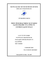 Phân tích hoạt động xuất khẩu gạch Ceramic của công ty cổ phần gạch Vitaly