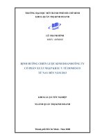 Định hướng chiến lược kinh doanh công ty cổ phần xuất nhập khẩu y tế Domesco từ nay đến năm 2013