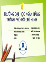 THỰC TRẠNG VÀ GIẢI PHÁP NÂNG CAO HIỆU QUẢ SỬ DỤNG THẺ ATM TẠI VIỆT NAM