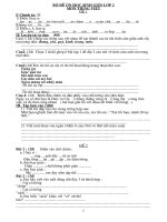 24 de on HSG Tieng Viet lop 2