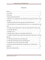 Bài tập lớn môn Luật Hành chính