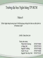Tiểu luận môn Marketing ngân hàng Ngân hàng thương mại ở VN đã áp dụng những hình thức xúc tiến yểm trợ (Promotion) nào