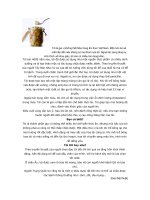 Tỏi là gia vị không thể thiếu trong ẩm thực Việt Nam