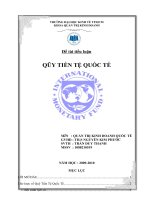 tiểu luận: đề tài Họat động của Qũy Tiền Tệ Quốc Tế