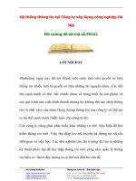 đồ án  kỹ thuật máy xây dựng Hệ thống thông tin tại Công ty xây dựng công nghiệp Hà Nội