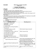 GIAO AN LOP 3 TUAN 28 - 2 BUOI