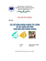 tiểu luận: Các mô hình khủng hoảng tài chính và xây dựng mô hình dự báo sớm khủng hoảng