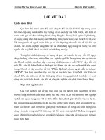 báo cáo thực tập: Thẩm định tài chính dự án đầu tư tại các NHTM Liên Việt chi nhánh Hà Nội