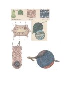 Hình ảnh Sinh Học 6 - Hot