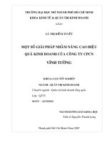 Một số giải pháp nhằm nâng cao hiệu quả kinh doanh của công ty cổ phần công nghiệp Vĩnh Tường