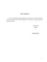 Nghiên cứu nâng cao độ bền dai của nhựa epoxy ứng dụng trong vật liệu compozit có sử dụng vi sợi xenlulo hình thành do vi khuẩn
