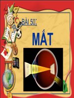 Bài 50; Mắt