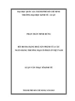 RỦI RO ĐA DẠNG HOÁ SẢN PHẨM CỦA CÁC NGÂN HÀNG THƯƠNG MẠI CỔ PHẦN Ở VIỆT NAM