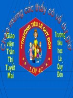 Bài 26: Cuộc khẩn hoang ở đàng trong