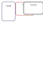 lo to dong vat rung tuyet dep!