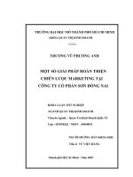 Một số giải pháp hoàn thiện chiến lược marketing tại công ty cổ phần Sơn Đồng Nai