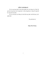 Hoàn thiện hoạt động chăm sóc khách hàng tại Trung tâm Dịch vụ khách hàng thuộc Viễn Thông Hà Nội