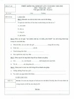 Tieng viet + Toan lop 5 giua ki 2 nam hoc 2010-2011