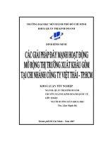 Các giải pháp đẩy mạnh hoạt động mở rộng thị trường xuất khẩu gốm tại chi nhánh công ty Việt Thái - Thành phố Hồ Chí Minh