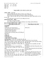 TNXH 1 tuần 29-35 có hình minh họa