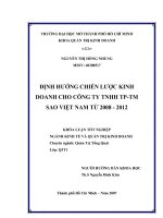 Định hướng chiến lược kinh doanh cho công ty TNHH TP-TM Sao Việt Nam từ 2008 - 2012