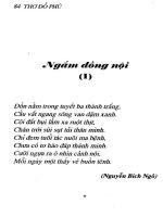 THƠ đỗ PHỦ  NHÀ XUẤT bản THANH NIÊN (PHẦN 2)