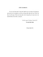 Giải pháp quản lý rủi ro lãi suất tại ngân hàng Đầu tư và phát triển Việt Nam