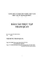 BÁO CÁO THỰC TẬP THAM QUAN khu di tích CỔ LOA Làng nghế BÁT TRÀNG, 87 MÃ MÂY 36 HÀNG NGANG HÀNG ĐÀO