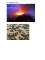 Một số hình ảnh dạy môn Sinh học