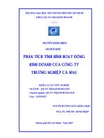 Phân tích tình hình hoạt động kinh doanh của công ty thương nghiệp Cà Mau