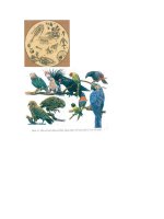 Hình ảnh Sinh Học 7 - Hot