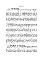 Nghiên cứu tổng hợp, tính chất và thăm dò khả năng ứng dụng của phức chất kẽm (II), sắt (III), đồng (II), mangan (II) với các amino axit thiết yếu (Tóm tắt)